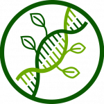 genetica-plantes