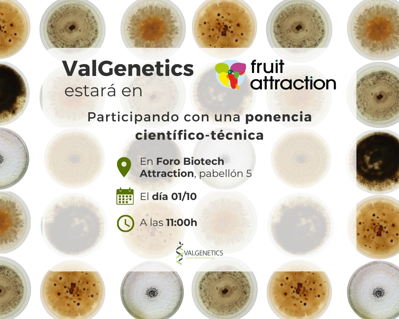 imagen nota de prensa fruit (1350 x 1080 px)